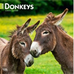 Donkeys 2026 Calendar