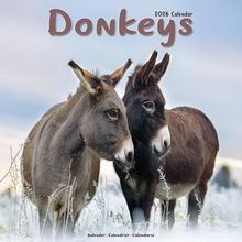 Donkeys 2026 Calendar