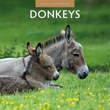 Donkeys 2026 Calendar