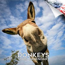Donkeys 2026 Calendar