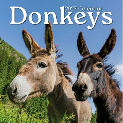 Donkeys 2027 Calendar