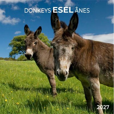 Donkeys 2027 Calendar