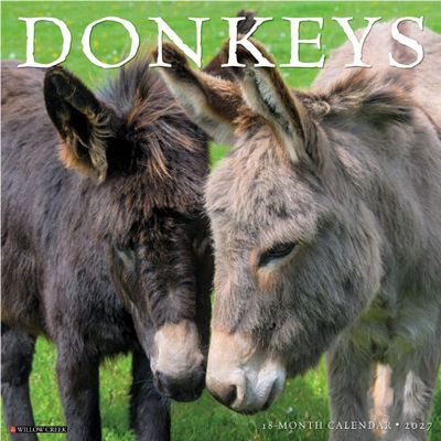 Donkeys 2027 Calendar
