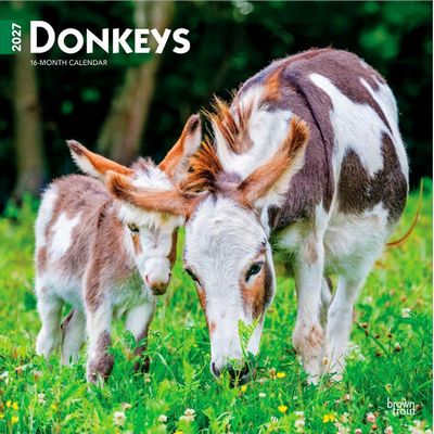 Donkeys 2027 Calendar