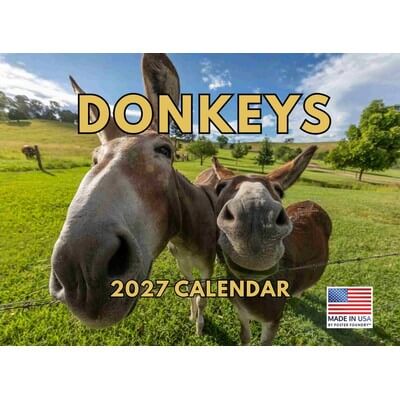 Donkeys 2027 Calendar