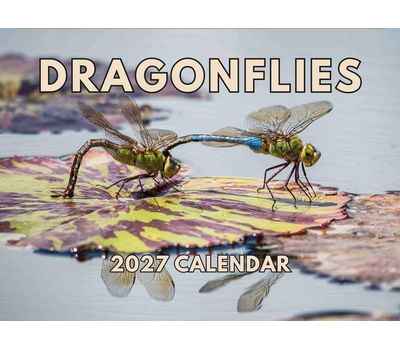 Dragonflies 2027 Wall Calendar