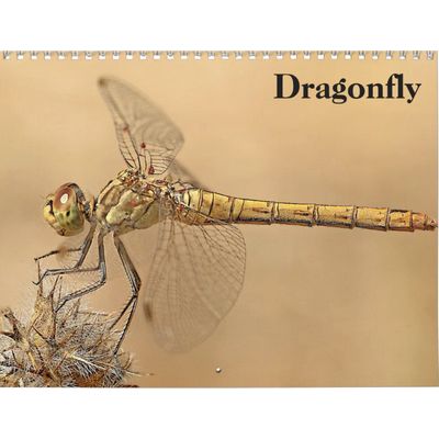 Dragonflies 2027 Wall Calendar