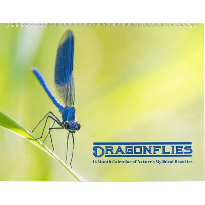 Dragonflies 2027 Wall Calendar