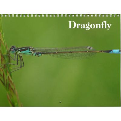 Dragonflies 2027 Wall Calendar