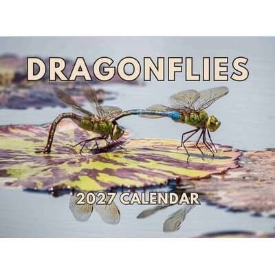 Dragonflies 2027 Wall Calendar