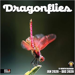 Dragonflies 2026 Calendar