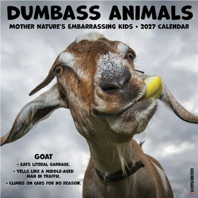 Dumbass Animals 2027 Wall Calendar