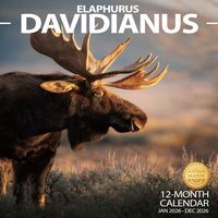 Elaphurus Davidianus 2026 Calendar
