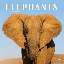 Elephants 2026 Calendar