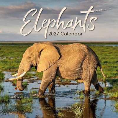 Elephants 2027 Calendar