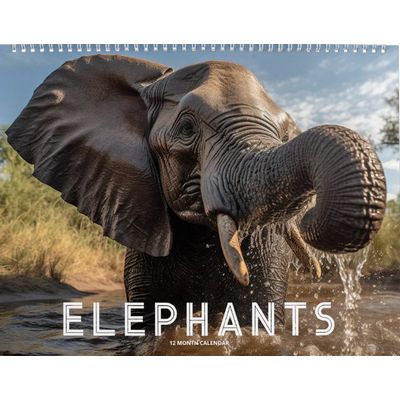 Elephants 2027 Wall Calendar