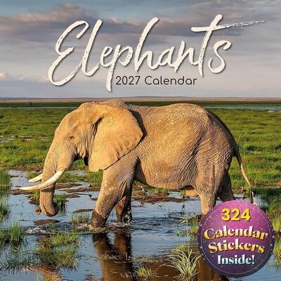 Elephants 2027 Wall Calendar