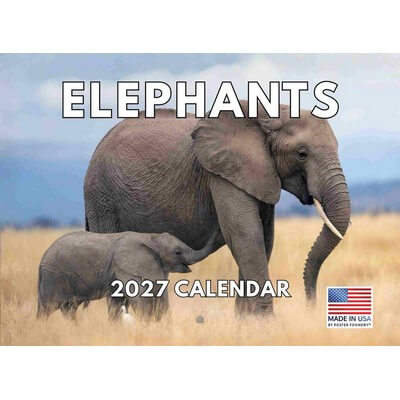 Elephants 2027 Wall Calendar