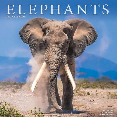 Elephants 2027 Wall Calendar