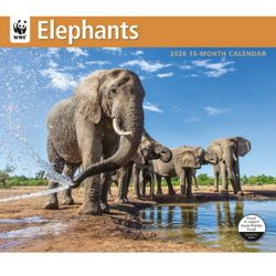 Elephants WWF 2026 Wall Calendar