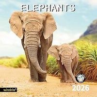 Elephants 2026 Wall Calendar