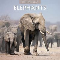 Elephants WWF 2026 Wall Calendar