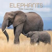 Baby Elephants 2026 Wall Calendar