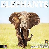 Baby Elephants 2026 Wall Calendar