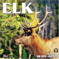 Elk 2026 Wall Calendar