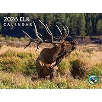 Elk 2026 Wall Calendar