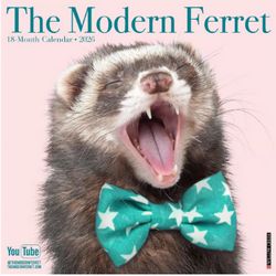 Modern Ferret 2026 Wall Calendar