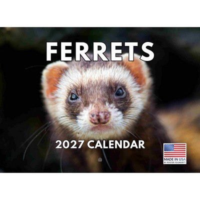 Ferrets 2027 Wall Calendar