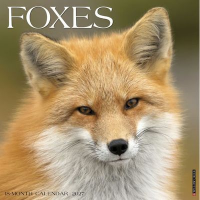 Foxes 2027 Wall Calendar