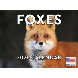 Foxes 2026 Calendar