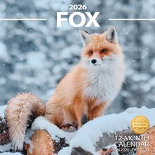 Foxes 2026 Calendar
