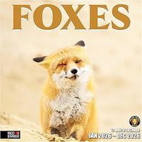 Foxes 2026 Calendar