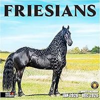 Friesians 2026 Calendar