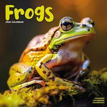 Frogs 2026 Wall Calendar