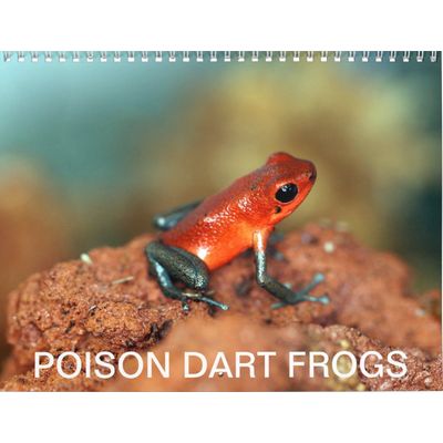 Poison Dart Frogs 2027 Wall Calendar