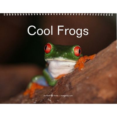 Cool Frogs 2027 Wall Calendar