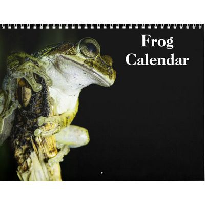 Frogs 2027 Wall Calendar