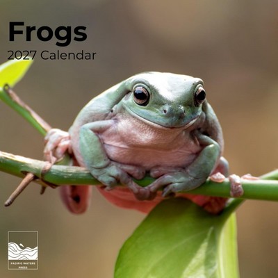 Frogs 2027 Wall Calendar