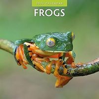 Frogs 2026 Wall Calendar