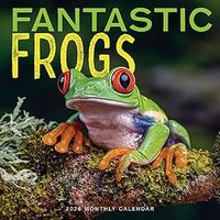 Frogs 2026 Wall Calendar