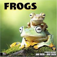 Frogs 2026 Wall Calendar
