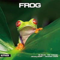 Frogs 2026 Wall Calendar