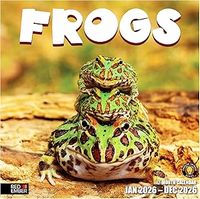 Frogs 2026 Wall Calendar