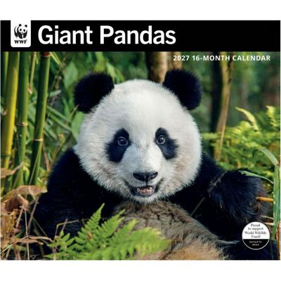 Giant Pandas 2027 Wall Calendar