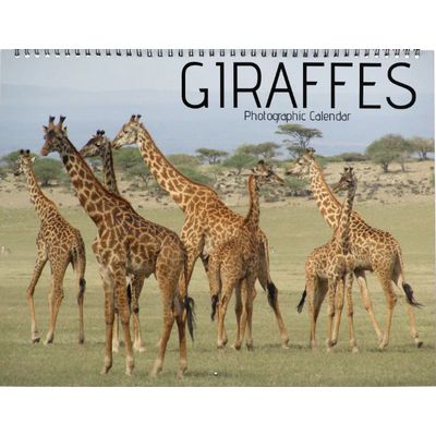 Giraffes 2027 Wall Calendar