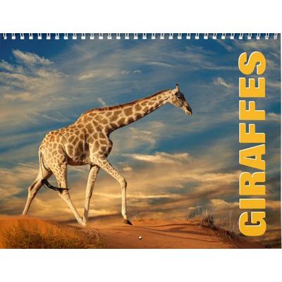 Giraffes 2027 Wall Calendar